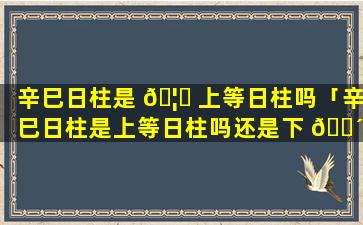 辛巳日柱是 🦟 上等日柱吗「辛巳日柱是上等日柱吗还是下 🐴 等」